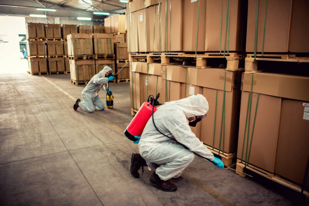 Best Wasp Removal Services  in Payette, ID