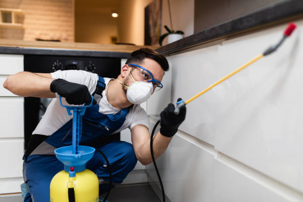 Trusted Payette, ID Pest Control Experts