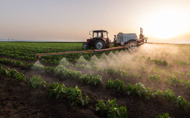 Best Pest Control Cost  in Payette, ID