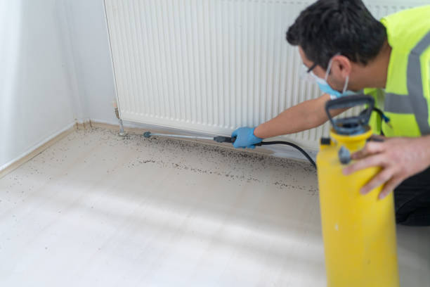 Best Best Pest Control Companies  in Payette, ID